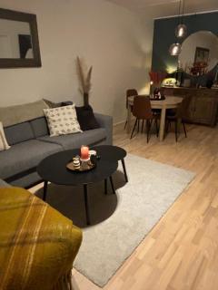 Fin leilighet nært alt - 5