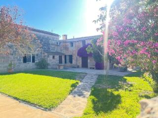 Bonita casa de campo típica Mallorquina - Sant Jordi - 7