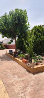 CASA RURAL EL TEJAR - San Clemente - 2