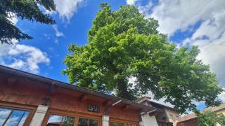 Brne Rooms - Postojna - 2