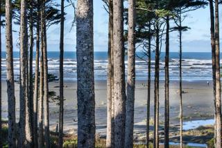 Oceanaire by Seabrook Hospitality - Pacific Beach - 0