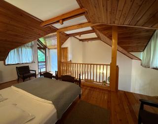 Casa Edelweiss - Sinaia - 5