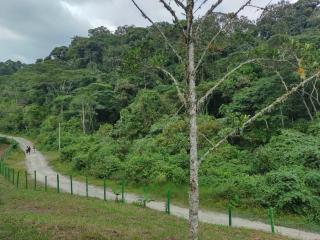 Eco Hotel Birdland en Buga Valle - Buga - 4