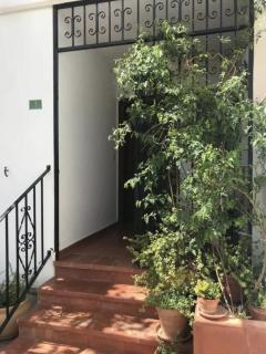 Bajo con piscina y jardín en Denia - Dénia - 7