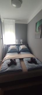 Grey Deluxe Apartman Kaposvár - Kaposvár - 4
