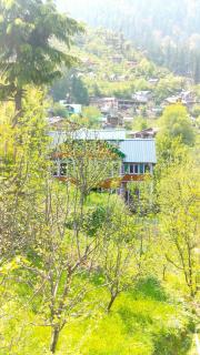 Mother's eco lodge - 1