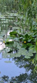 Apartament pod Górą Witosza - 7