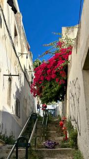 Castle suites - Lissabon - 1