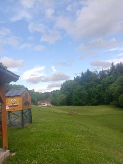 Cicha Dolina - Paszowa - 1