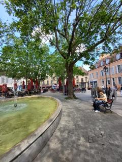 *Monge Zola* - Dijon - 7