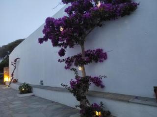 Loukoum House - Kastron - 9