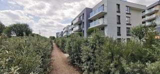 FLOU Przystań Letnica 79, parking & 700m plaża - 7