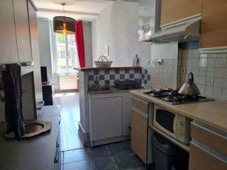 La Belle Epoque, grand appartement en centre-ville - 1