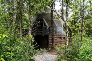 Hermoso domo en altura entre el bosque nativo + tinaja privada - 6