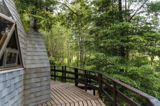 Hermoso domo en altura entre el bosque nativo + tinaja privada - 2