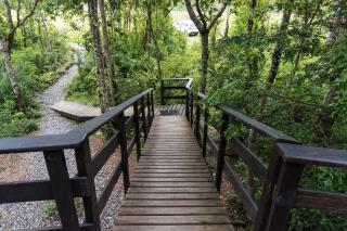 Hermoso domo en altura entre el bosque nativo + tinaja privada - 1