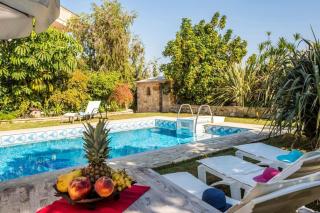 Niko's art Villa in Chania - Perivólia - 2