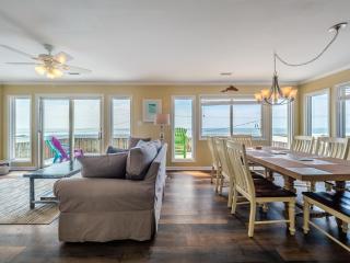 Turtle Sanctuary - Topsail Beach - 9
