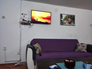 Apartman Bagdala - Kruševac - 5