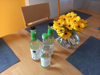 Großzügige Ferienwohnung mit Rundum-Blick - Hinterschmiding - 9