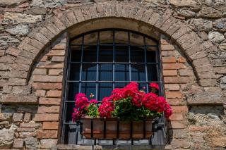 Il Pino Di Spazzavento - Cetona - 6
