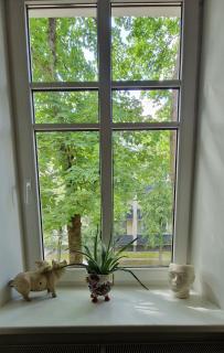 Family apartment - Vilnius - 1