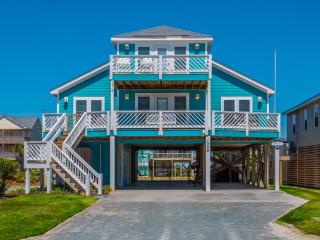 The Water Bear - Topsail Beach - 0