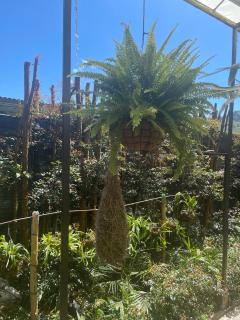 Habitación El Silencio - Athos Hotel B - 2