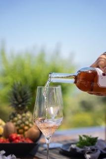 Cavalier Suites Nikiana Lefkada AV Properties - Nikiana - 4