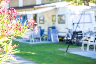 Camping Feriendorf Maltschachersee - Feldkirchen in Kärnten - 5