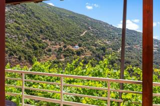 Nick's Apartment in Kambos - 1