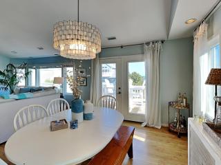 The Shell Collector - Surf City - 5
