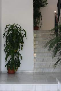 Apartamento Conil - Casa Pilar - 6