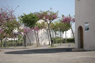 Apartamento Conil - Casa Pilar - 9