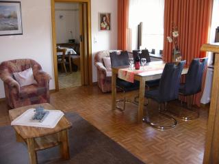 Apartment near the ski area - Liesen - 8