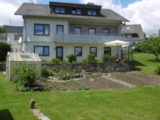Apartment near the ski area - Liesen - 0