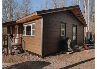 Littlefoot Lodge! - Remer - 5