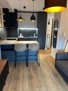 Apartament Nadmotlawie Gdańsk Old Town Sauna & Fitness - Gdansk - 8