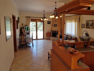 Eftihia's Traditional House - Loúlos - 7