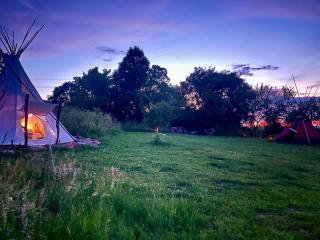 Romantic Wildlife Tipi Teepee Tomnatic Bihor Romania Apuseni - Tomnatic - 6