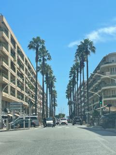 Beau STUDIO HIPPODROME MER PLAGE - Cagnes-sur-Mer - 5
