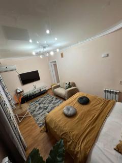 Suite one-room 43 Мята - Shymkent - 5