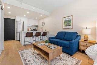 DownTown Studio with Balcony - Montreal - 3