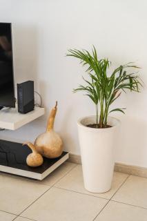 Elegant & Central Two Bedroom Flat - Lanarka - 1