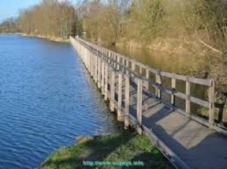 Plein centre de Visé - 4