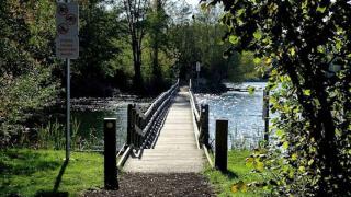 Plein centre de Visé - 2