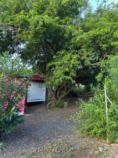 Rêve de Cabane - Capesterre-de-Marie-Galante - 5