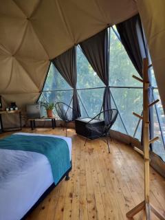 Refugio La Paz EcoGlamping - San Ramón - 3