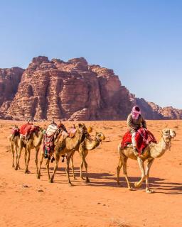 Salem Wadi Rum Road - Wadi Rum - 4