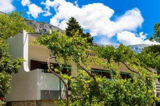 Apartments with parking space Brela, Makarska - 18417 - 9